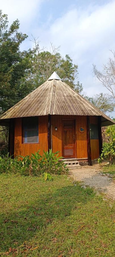 Sun Creek Lodge Punta Gorda Exterior foto